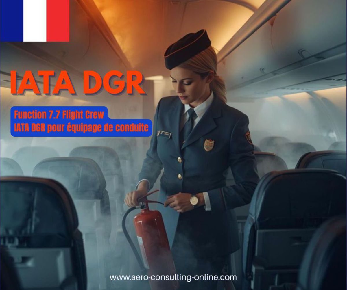 EASA PART-IS Cybersecurity Online Training